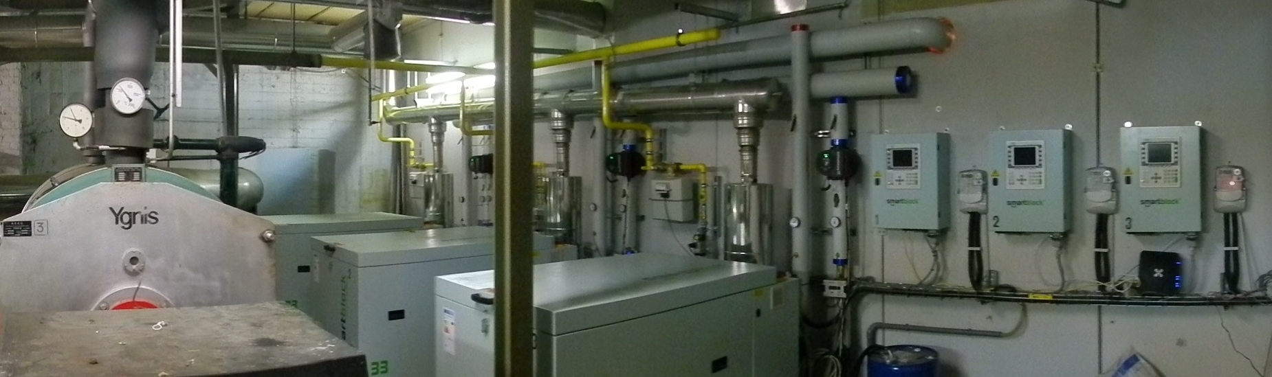 Cogeneration